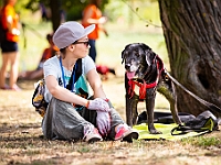 Adoptuj Warszawiaka  Wydarzenie promujące adopcję zwierząt. Organizator: Schronisko dla Bezdomnych Zwierząt "Na Paluchu". 18 sierpnia 2019, Park Raszyński w Raszynie. : park raszyński, adoptuj warszawiaka, na paluchu, schronisko dla zwierząt, centrum warszawy, raszyn